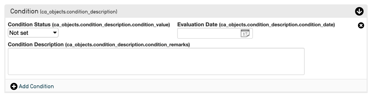 A screenshot of a container called 'container' with 3 fields: condition status, evaluation date and condition description. The condition status field is a drop-down list showing the default value of 'not set'
