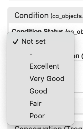 A screenshot of the condition status drop-down with options: 'excellent', very good', 'good', 'fair' and 'poor'